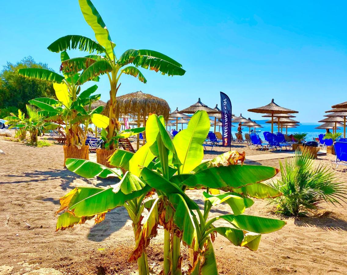 קנדיה Zoom Beach Hotel מראה חיצוני תמונה