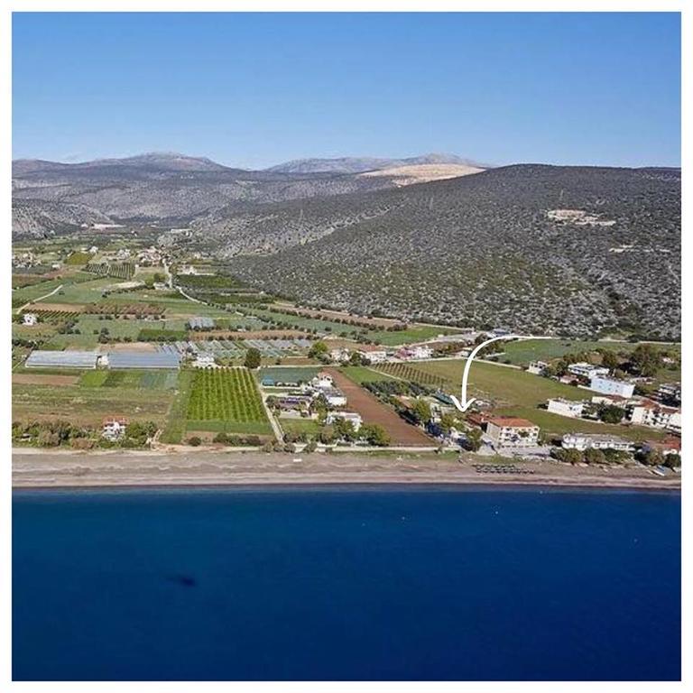 קנדיה Zoom Beach Hotel מראה חיצוני תמונה