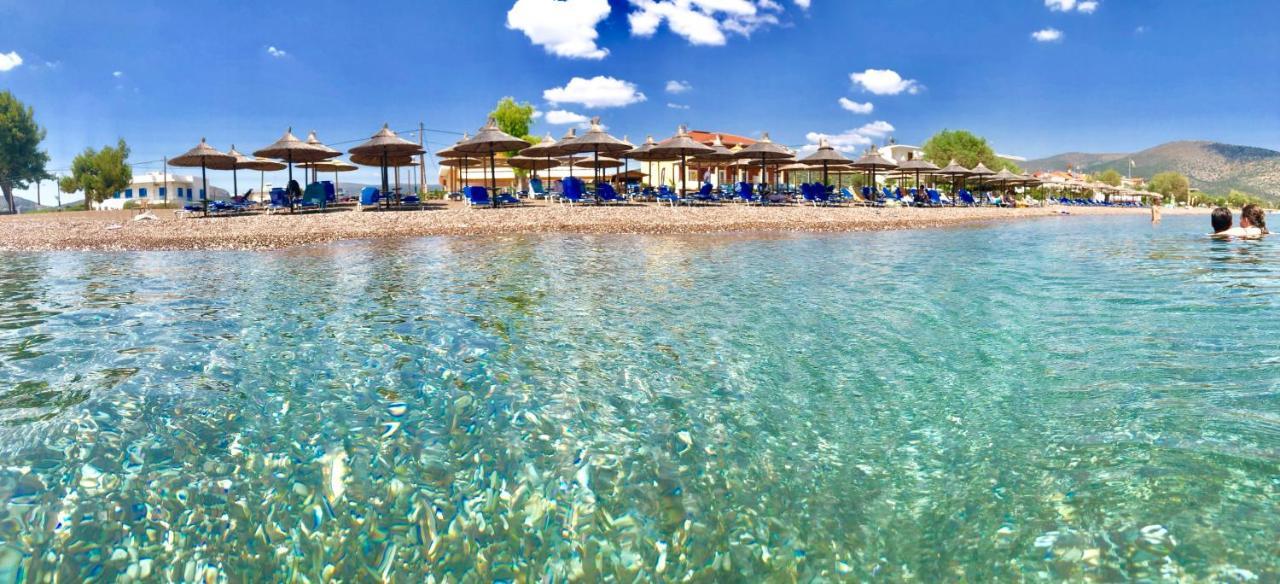 קנדיה Zoom Beach Hotel מראה חיצוני תמונה